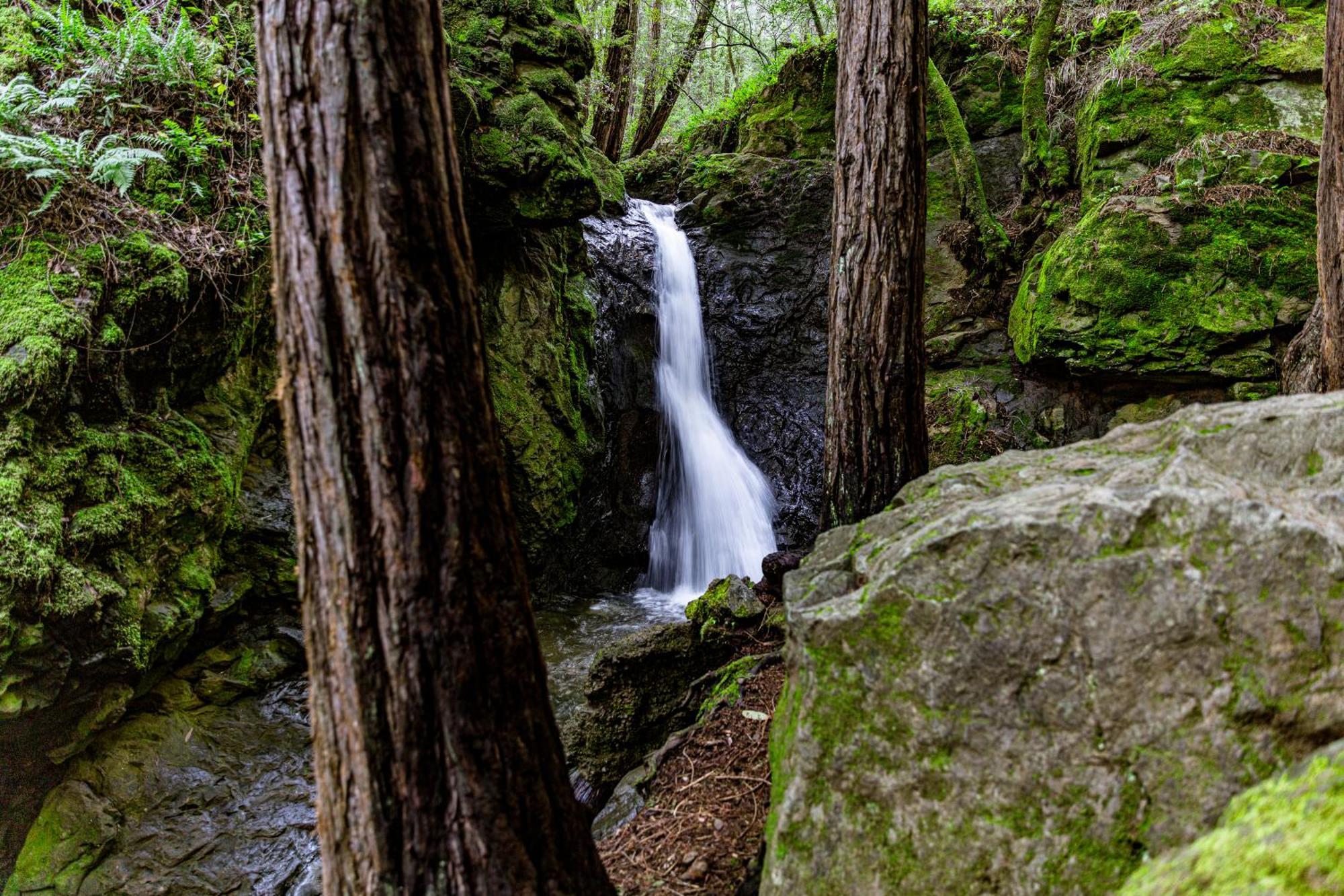 מיל ואלי Enchanted Waterfall Sanctuary מראה חיצוני תמונה